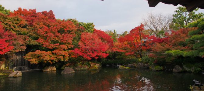 姫路の観光案内（姫路城とその周辺の巻）