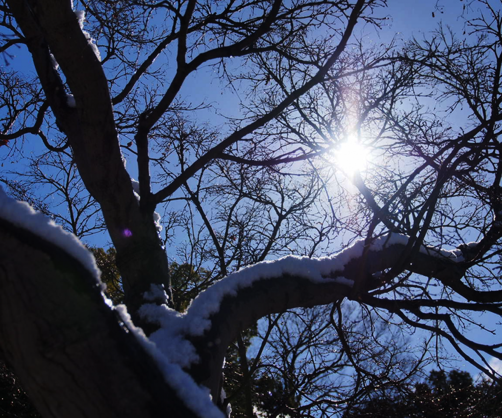 雪が積もった姫路の町並み