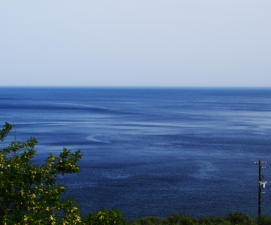 小豆島：瀬戸内海とオリーブ畑